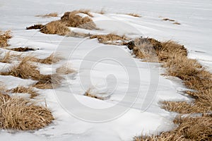 Sníh a sušené tráva 