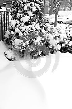 Snow drift in suburban neightborhood during snow storm, space for text bottom half, vertical