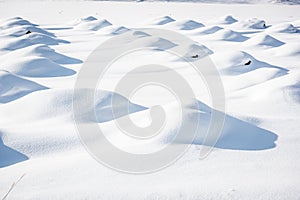 Snow dunes on crops in Biei, Hokkaido, Japan