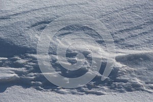 Snow dunes in the field / Shadows in the snow /