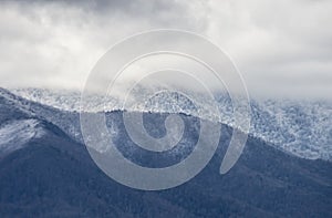 Snow dustes the mountains in the Smokies.