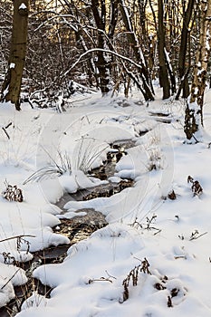 Snow in Epping Forest