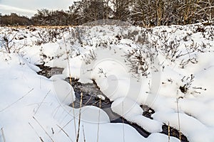 Snow in Epping Forest