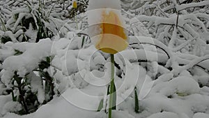 Snow in Europe 2020 May 12