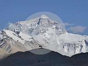 Snow Everest and Himalayas view