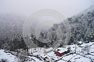 Snow Fall, Misty Valley, Huts, and Trees - Winter in Indian Village in Uttarakhand in Himalaya