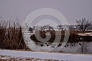 Snow Fall n South East City Park, Canyon, Texas.