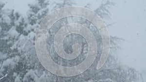 Snow Fall in slow motion