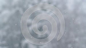Snow Fall in slow motion