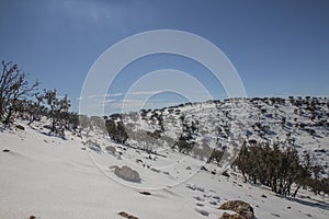 Snow falling on  Al-Shoubak in Ma`an governorate in Jordan