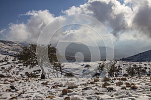 Snow falling on  Al-Shoubak in Ma`an governorate in Jordan