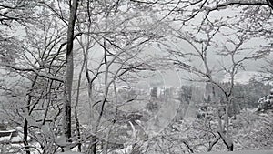 Snow falling and covered trees, country village in winter