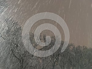 Snow Falling during Evening in Winter at Central Park in Manhattan, New York, NY.