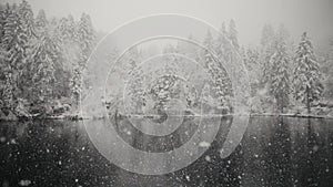 Snow falling over lake surrounded with evergreen trees covered with snow in the distance. The Blausee lake in Swiss in winter