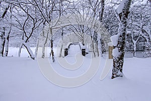 Snow falling in park and a walking bridge in winter.