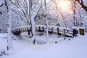 Snow falling in park and a walking bridge in winter.