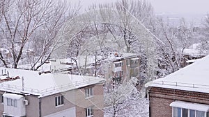 Snow Falls from the Tops of Trees in the Courtyard of Old Residential Buildings