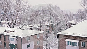 Snow Falls from the Tops of Trees in the Courtyard of Old Residential Buildings
