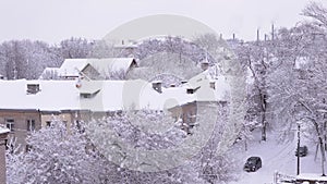 Snow Falls from the Tops of Trees in the Courtyard of Old Residential Buildings