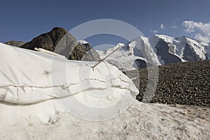 Snow farming on Diavolezza: Snow is covered with a flies against melting