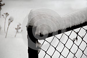 Snow on a fence