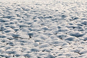 Snow field