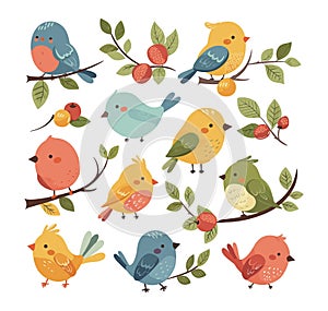 Snow finches in doodle style, cartoon set. Birds from different colors with elements of tree branches of leaves and