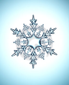 Snow flake