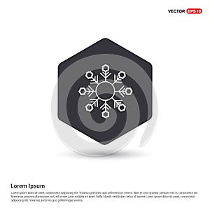 Snow Flake Icon Hexa White Background icon template