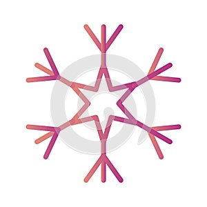 Snow Flake Vector Icon