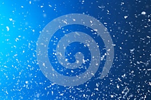 Snow flakes falling on blue background