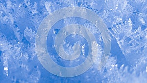 Snow flakes in ice crystals