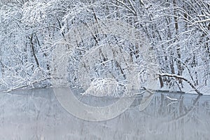 Snow Flocked Trees Along the Kalamazoo River