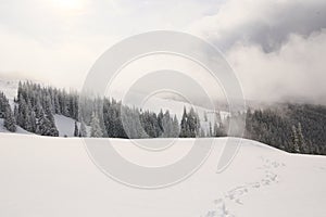 Snow, fog, snow-capped peak in the mountains