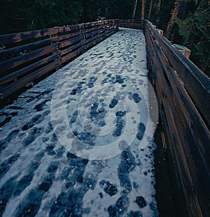 Snow foot prints bridge nature pnw