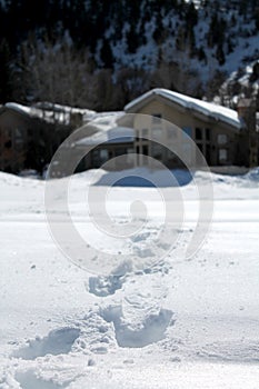 Snow Footprints