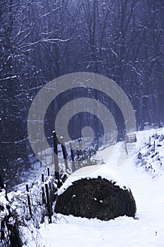 snow in the forest and a bale of hay.