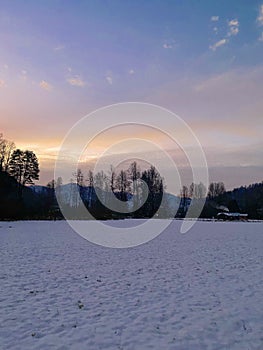 the snow forest sunset view photo