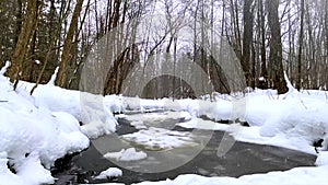 Snow in the Forest Slow Motion Winter Creek