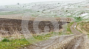 Snow in freshly sown wheat fields