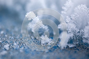 Snow, frost close up,  a snowflake in natural surroundings