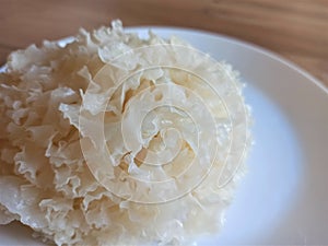 Snow Fungus facts and health benefits concept.