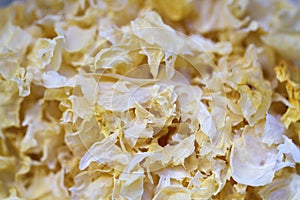 Snow fungus, traditional chinese herbal medicine