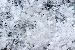 Snow grains and snowflakes are sprinkled on a black background. Freshly fallen snow, winter day