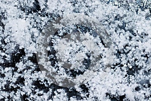 Snow grains and snowflakes are sprinkled on the black hood of the car. Fresh slightly wet snow, warm winter