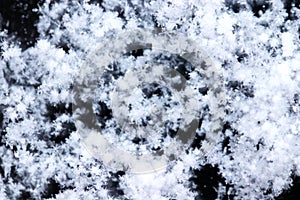 Snow grains and snowflakes are sprinkled on the black hood of the car. Fresh slightly wet snow, warm winter