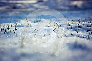 Snow with grass coming through