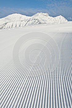 Snow grooming machine tracks