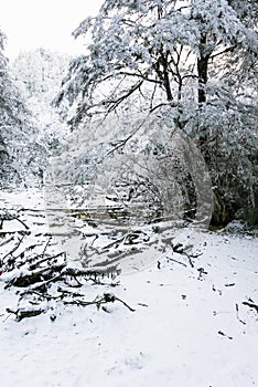 Snow Hailuogou scenery