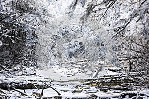 Snow Hailuogou scenery